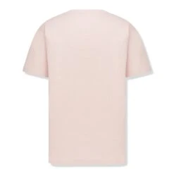 Dior CD Icon Relaxed Fit Cotton Pink T Shirt -Creps Lockers dior cd icon relaxed fit cotton pink t shirt 943j605f0554 c485 back